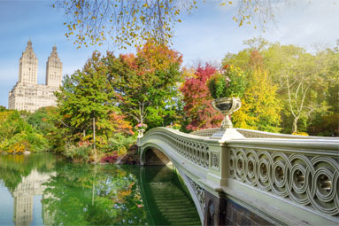 Central Park Walking Tour - CentralParkDiscovery
